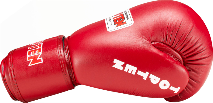 Boxing gloves "Competition" - 10 oz, red, with DBV certification for competitions of the German Boxing Association (Deutscher Boxsport-Verband e.V.) [7]
