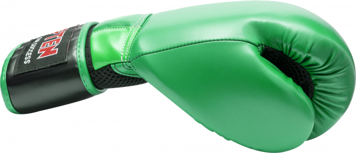 Manusi de box „Power Ink Dual”, Top Ten, Verde, 16 oz [3]