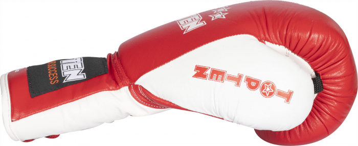 Boxing Gloves “Pro” - 10 oz, red-white [3]