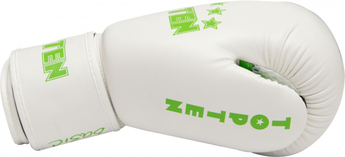 Boxing Gloves “R2M 2016” - 10 oz, white-green [3]