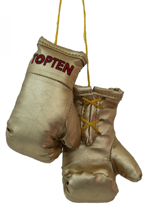 Breloc mănuși de box Mini „TOP TEN”, Gold [1]