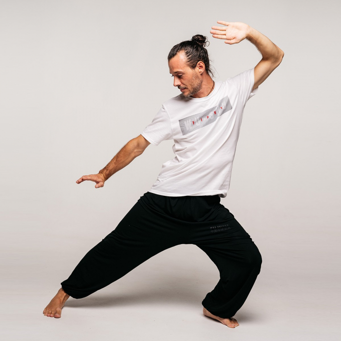 Pantalon TAI CHI Modal [4]