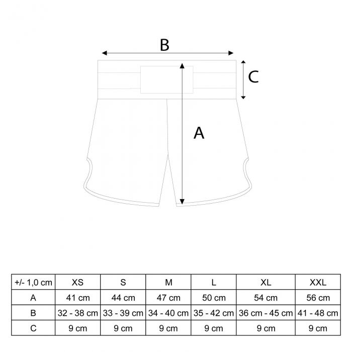 Pantaloni scurti Kickboxing, Top Ten, Kick Light, aprobat WAKO, rosu, marime XL [5]