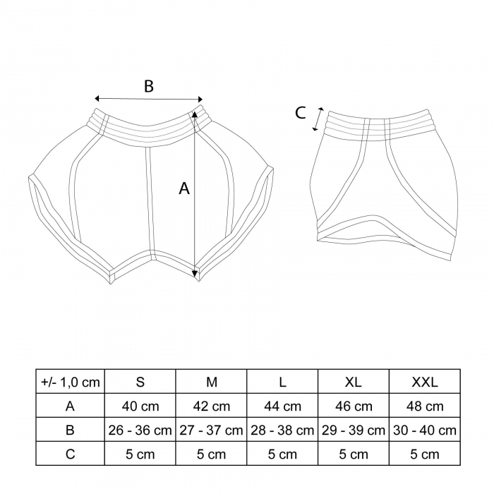 Pantaloni scurti Kickboxing “Vectory”, Top Ten, Roz, XL [5]