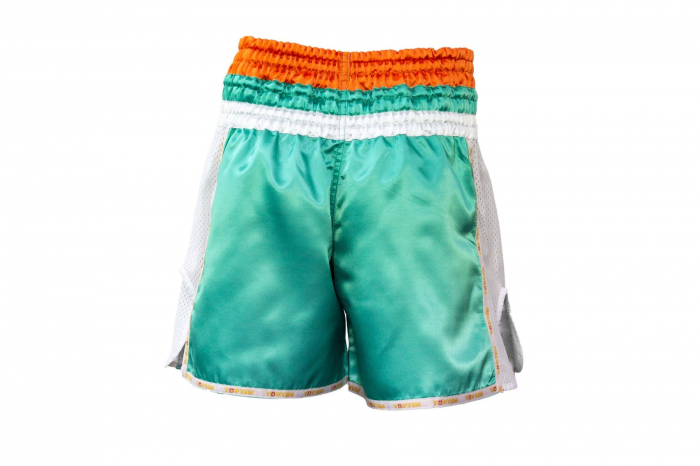 Pantaloni scurti Thaibox, Top Ten, model "Star", aprobat WAKO, Verde, marime XS [2]