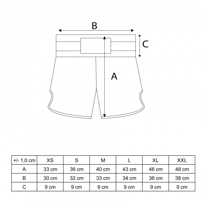 Pantaloni scurti Thaibox, Top Ten, model "Star", aprobat WAKO, albastru, marime 2XL [5]