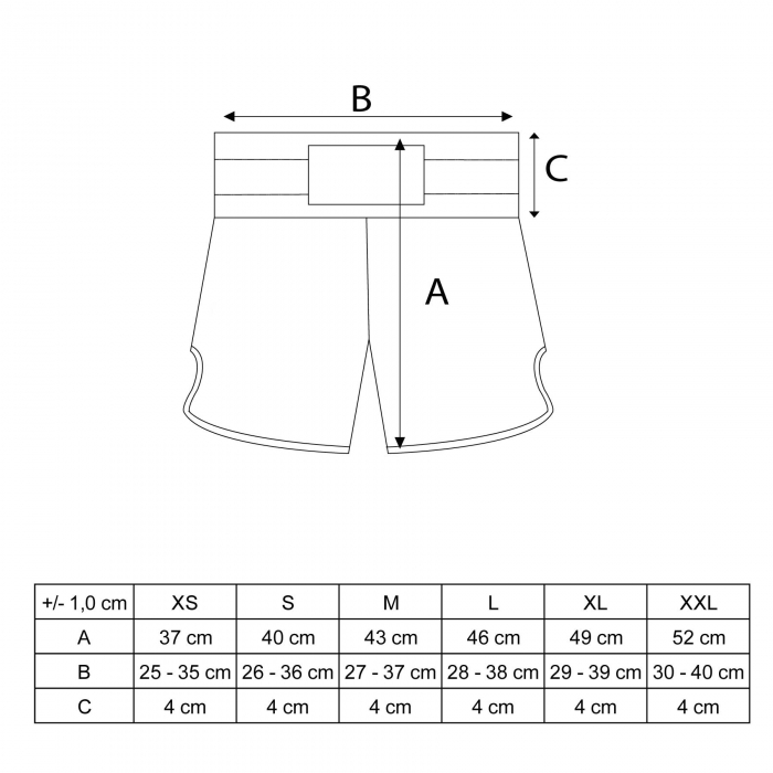 Pantaloni scurti "WAKO Kickboxing", aprobat WAKO, Albastru, M [2]