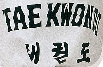 Taekwon-Do Dobok "Taeguk" (cu backprint) - Hayashi, Alb [1]