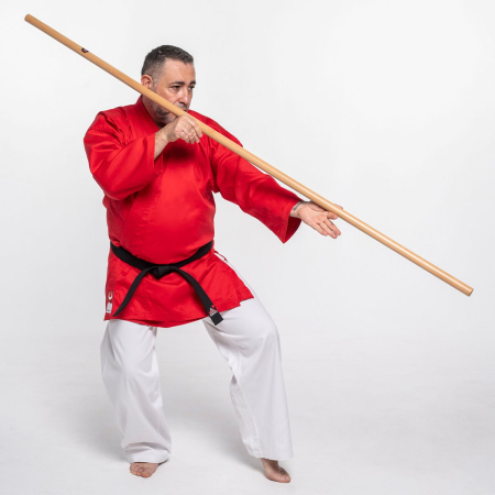 Bo Lemn de fag 182cm [1]