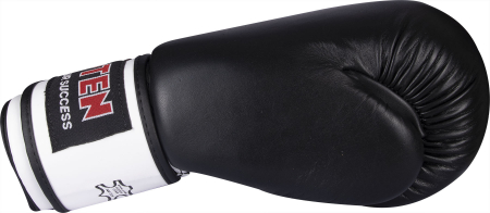 Mănuși de kickbox [2]