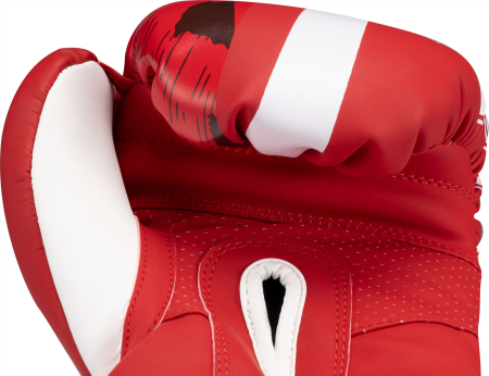 Boxing gloves "WAKO NTB Marks" - 10 oz, red [6]