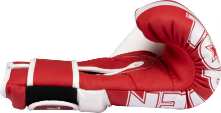 Boxing gloves "WAKO NTB Marks" - 10 oz, red [5]