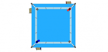 „Verseny” box ring [6]