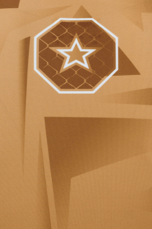 Rash Guard “Borrado” - brown, size S [6]