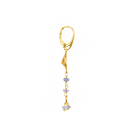 Citrine and Tanzanite earrings [1]