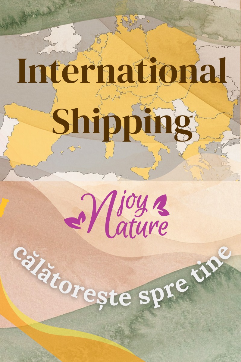 Transport International