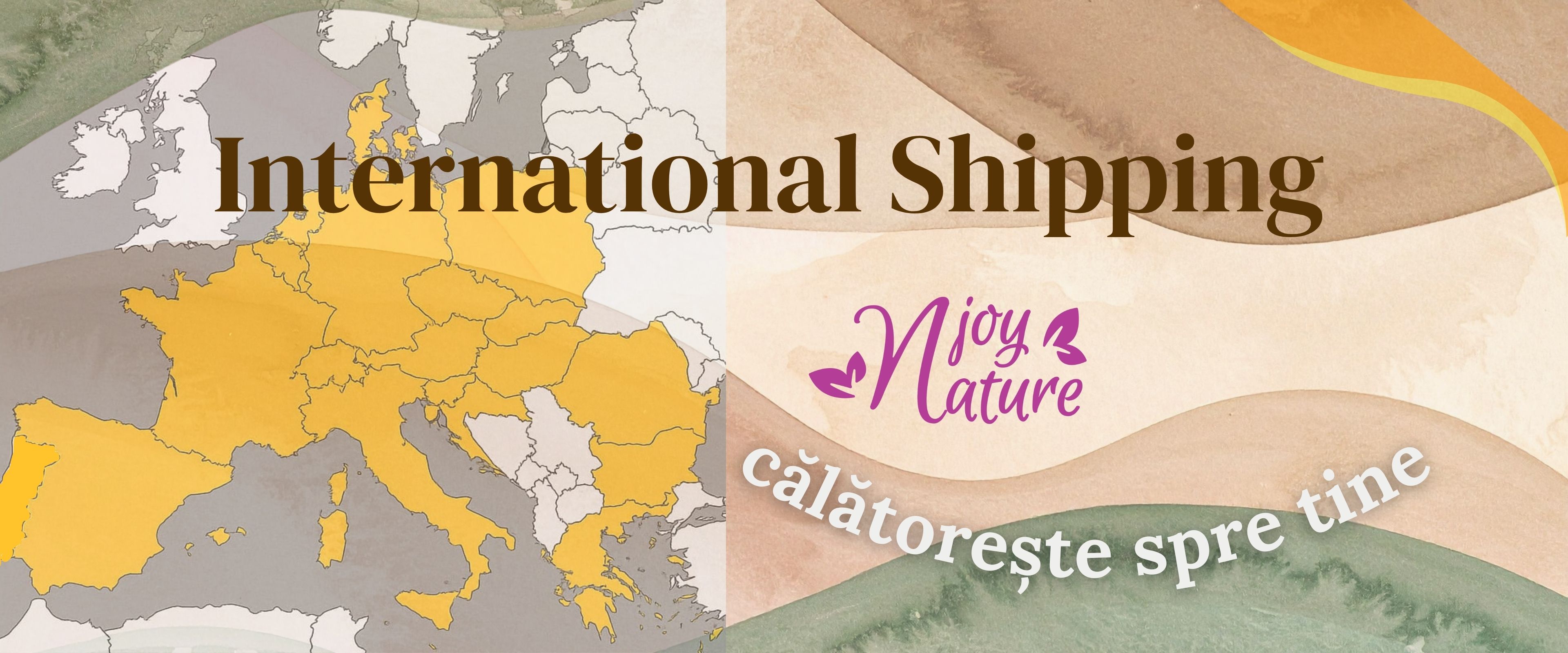 Transport International