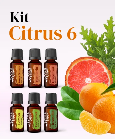 Kit Citrus 6 [1]