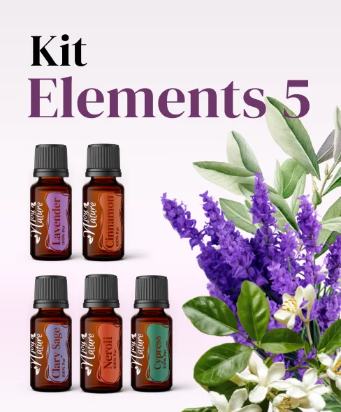 Kit Elements 5 [1]