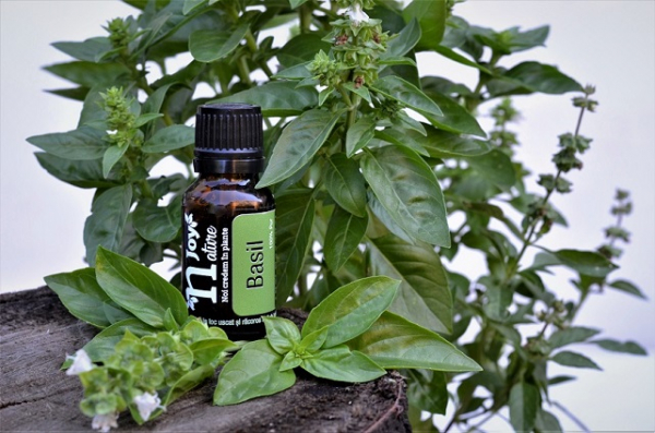 Basil Essential Oil 15ml [3]
