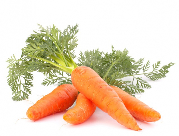 Carrot Seed Essential Oil 15ml [2]