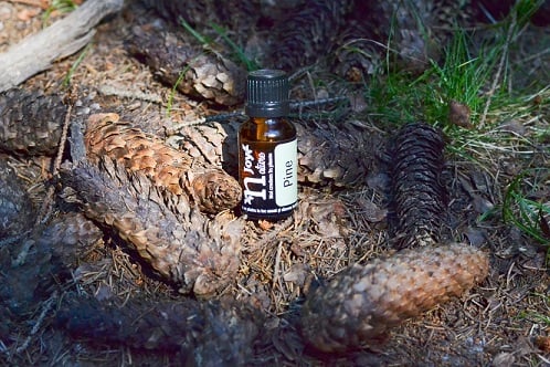 Pine Essential Oil 15ml [3]