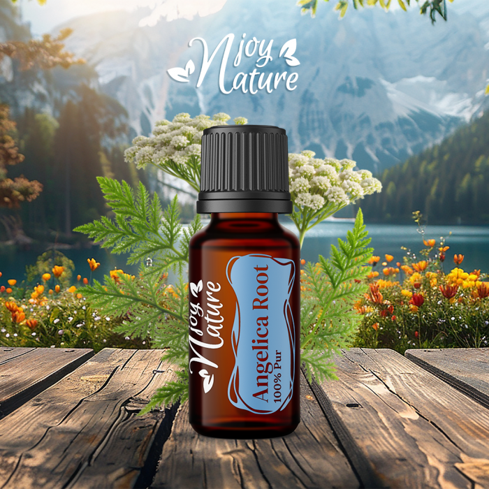 Angelica Root Essential Oil 15ml [4]