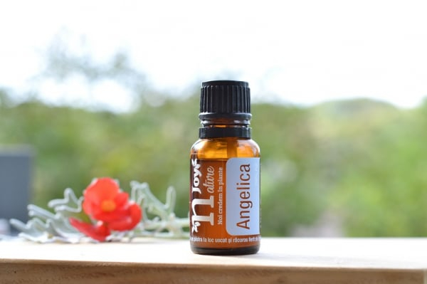 Angelica Root Essential Oil 15ml [4]