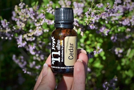 Ulei Esential Cedar 15ml [4]