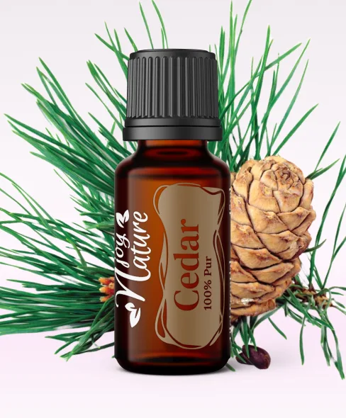 Ulei Esential Cedar 15ml [1]