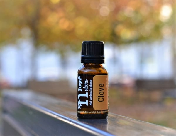 Clove Bud Essential Oil 15ml [4]