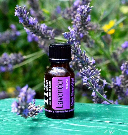 Lavender Essential Oil 15ml [4]