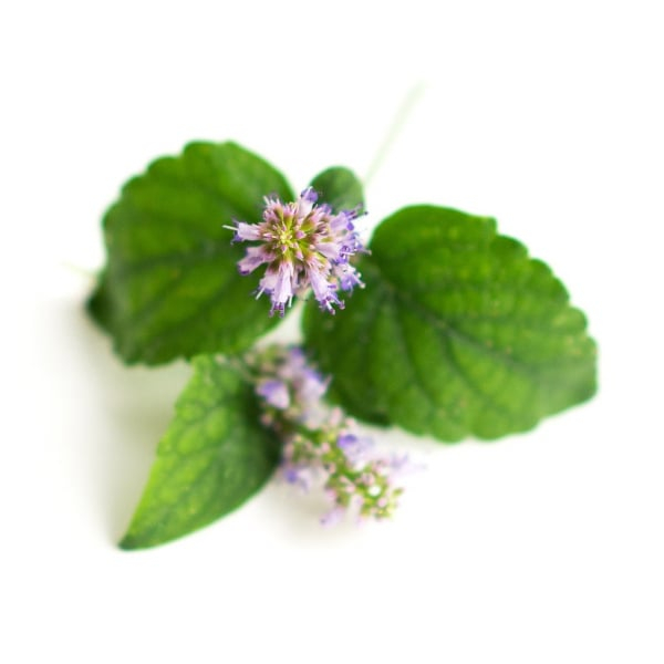Ulei Esential Patchouli 15ml [2]