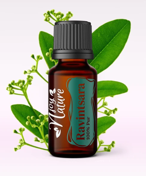 Ulei Esential Ravintsara 15ml [1]