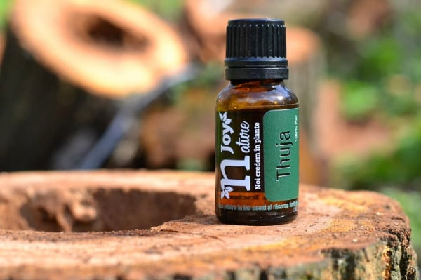 Ulei Esential Thuja Wood 15ml [4]