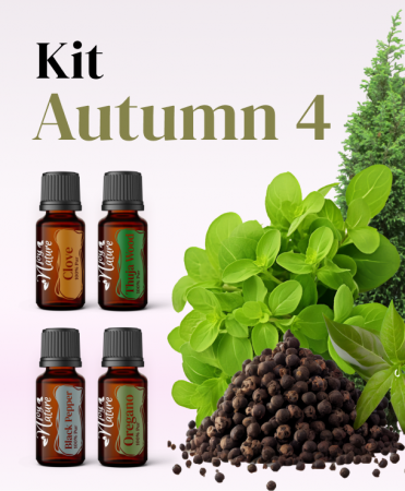 Kits - Kit Autumn Special 4