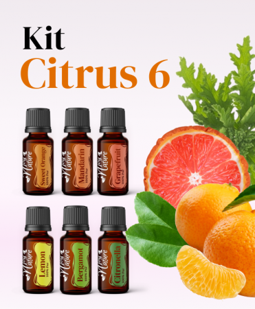 Kits - Kit Citrus 6