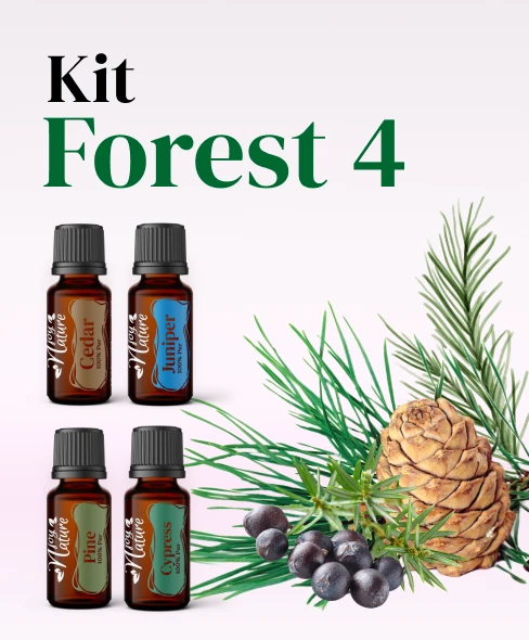 Kits - Kit Forest 4