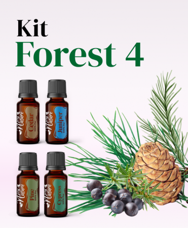 Kits - Kit Forest 4