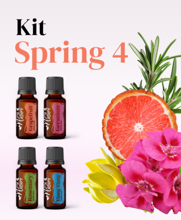 Kits - Kit Spring Special 4