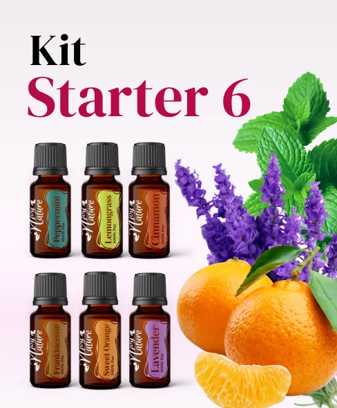 Kit Starter 6