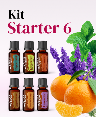 Kit Starter 6