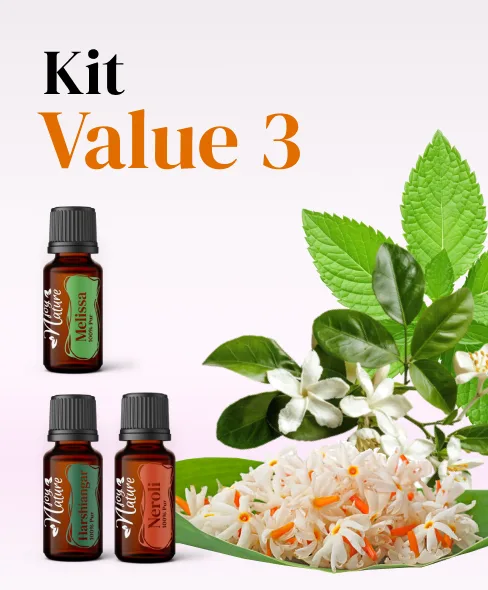 Kits - Kit Value 3