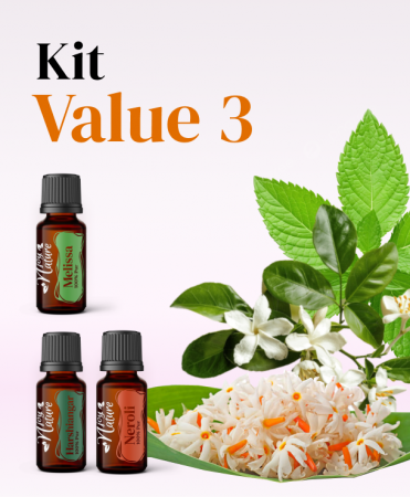 Kits - Kit Value 3