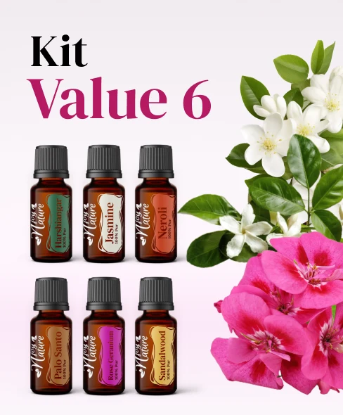 Kits - Kit Value 6