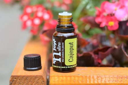 Cajeput Essential Oil 15ml [3]