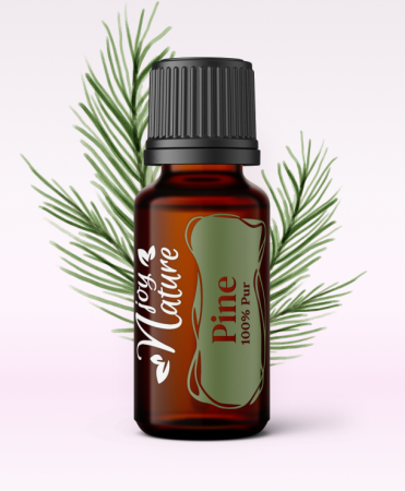 Promotii - Ulei Esential Pine 15ml