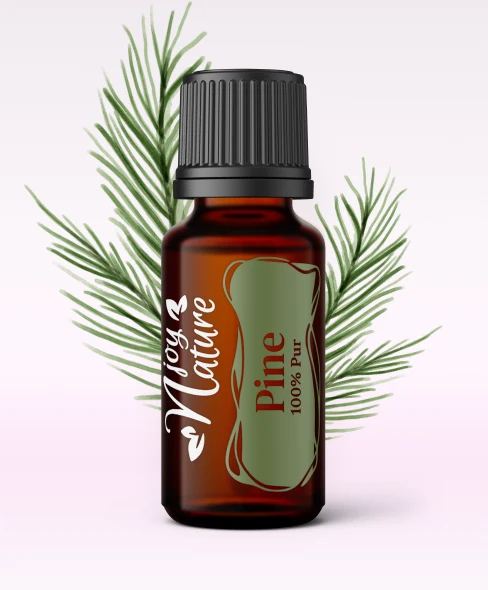 Promotii - Ulei Esential Pine 15ml