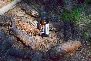 Ulei Esential Pine 15ml [2]
