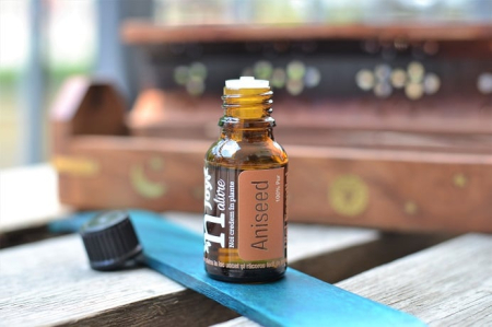 Ulei Esential Aniseed 15ml [3]